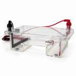 Gel Electrophoresis System